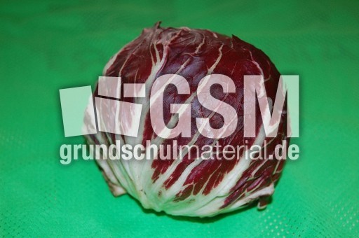 Radicchio_1.JPG